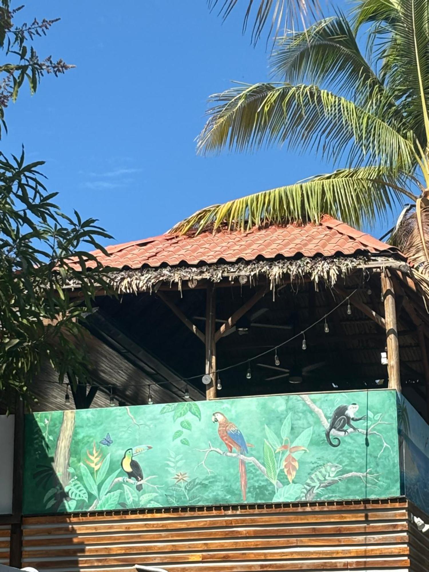 Quinta Esencia Bed & Breakfast Brasilito Exterior photo