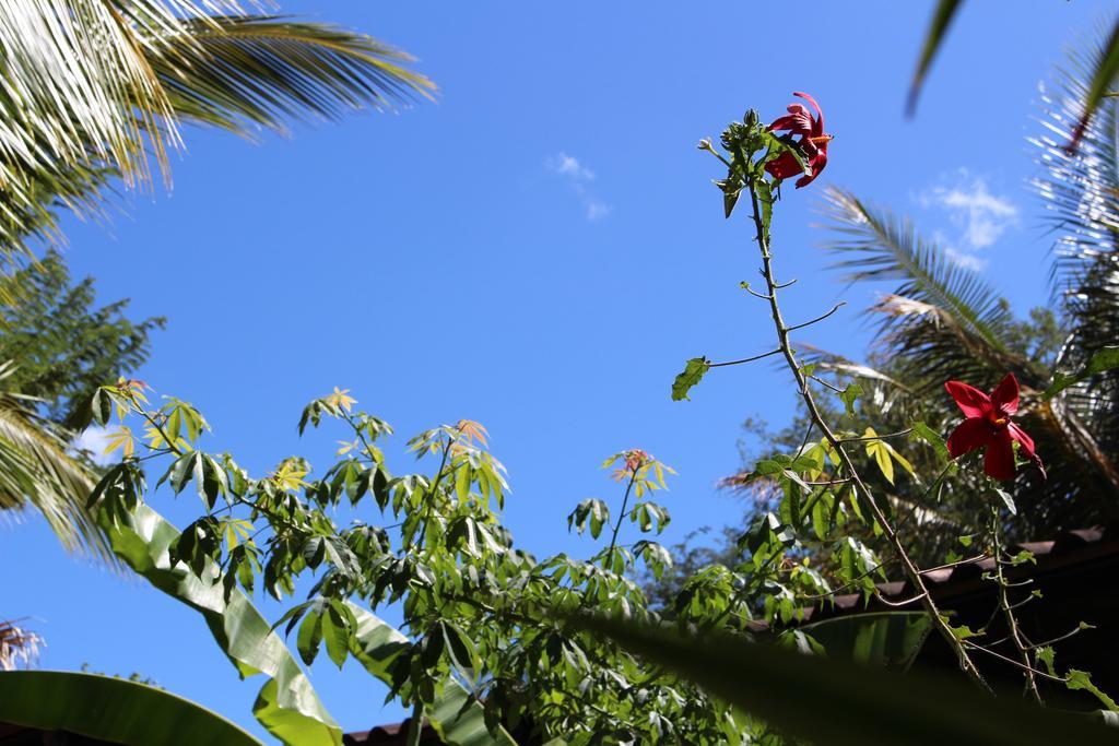 Quinta Esencia Bed & Breakfast Brasilito Exterior photo