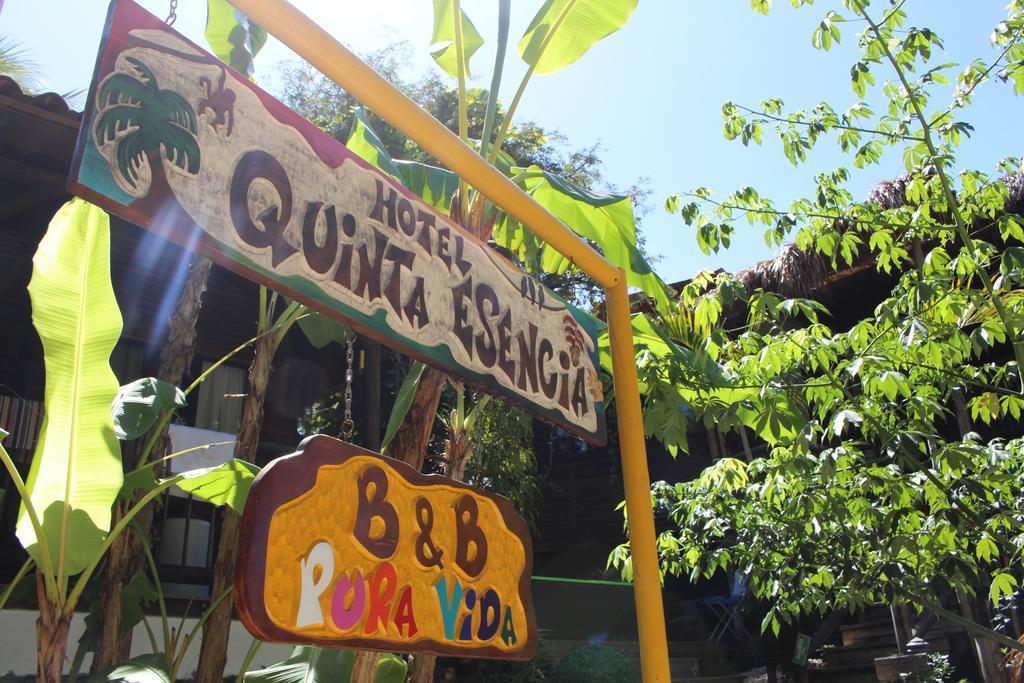 Quinta Esencia Bed & Breakfast Brasilito Exterior photo